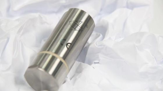 Hochauflösender drahtloser Datenlogger für die Autoklavensterilisation in der pharmazeutischen GMP
